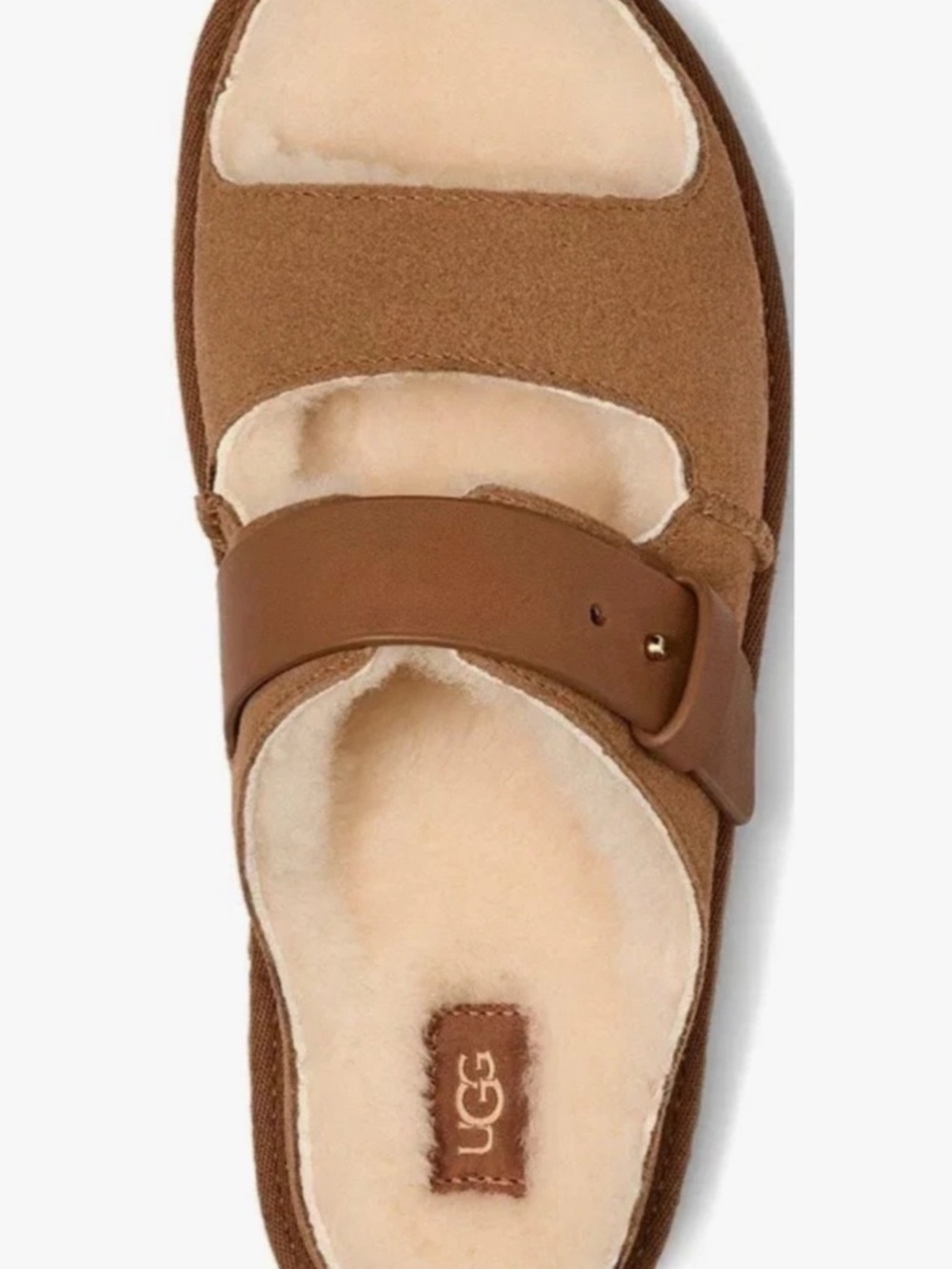 UGG Women's Chestnut Suede Shearling Mule with Buckle